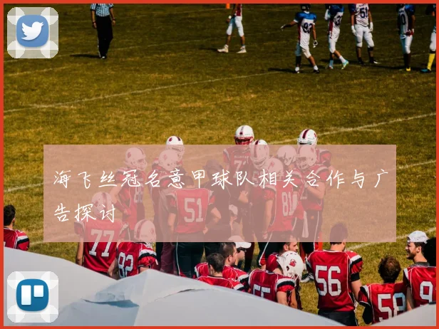 海飞丝冠名意甲球队相关合作与广告探讨