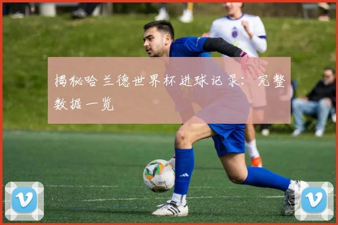 揭秘哈兰德世界杯进球记录：完整数据一览