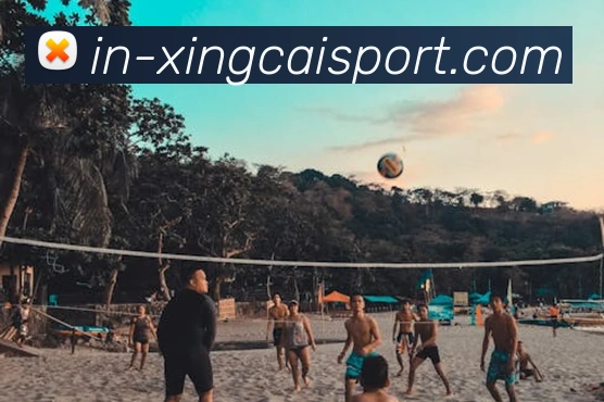 杏彩体育服务体系